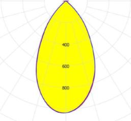 Optics Report-1