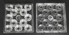 50x50-12H1-A-Flood Light Lens-60°（Light Cup）